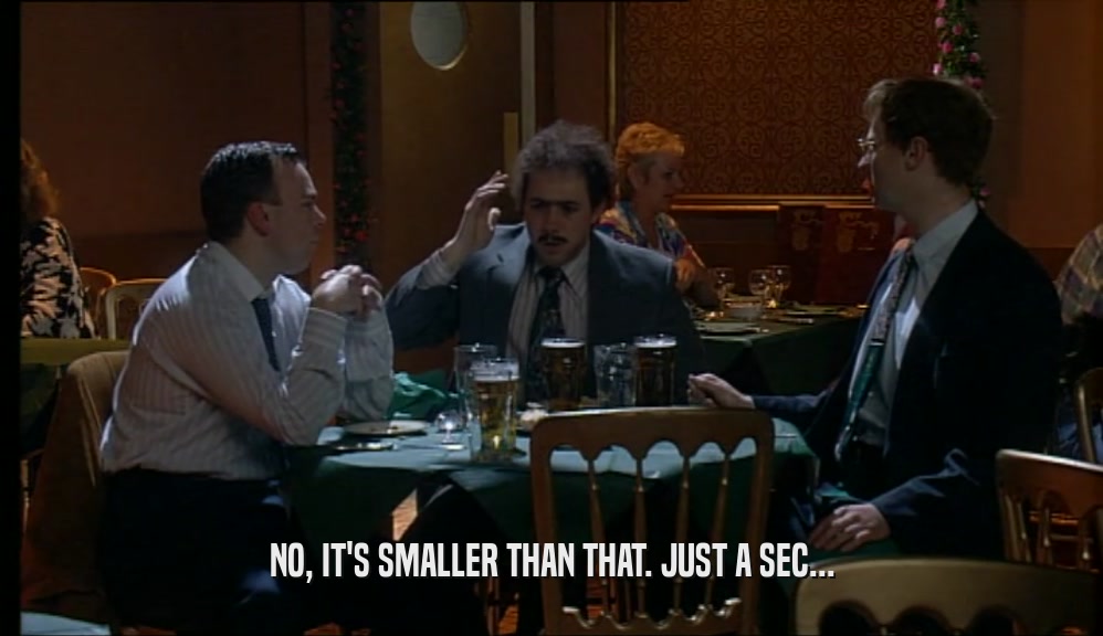 NO, IT'S SMALLER THAN THAT. JUST A SEC...  