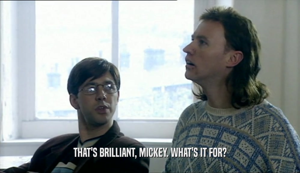 THAT'S BRILLIANT, MICKEY. WHAT'S IT FOR?  