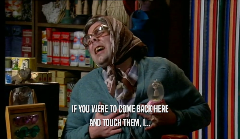 IF YOU WERE TO COME BACK HERE AND TOUCH THEM, I... 