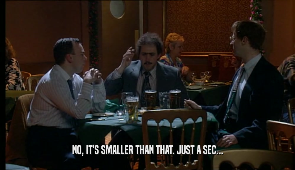 NO, IT'S SMALLER THAN THAT. JUST A SEC...  