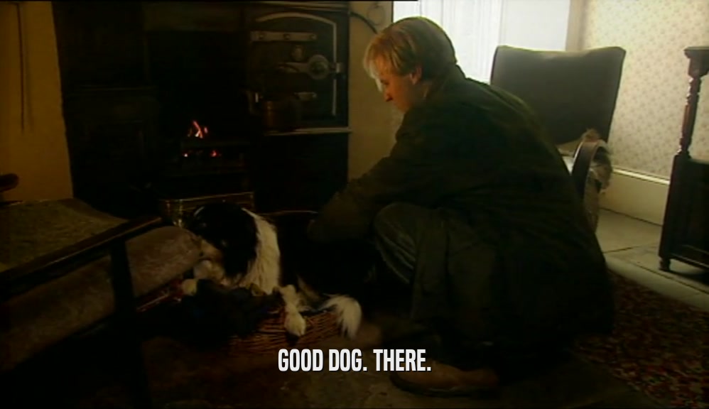 GOOD DOG. THERE.  