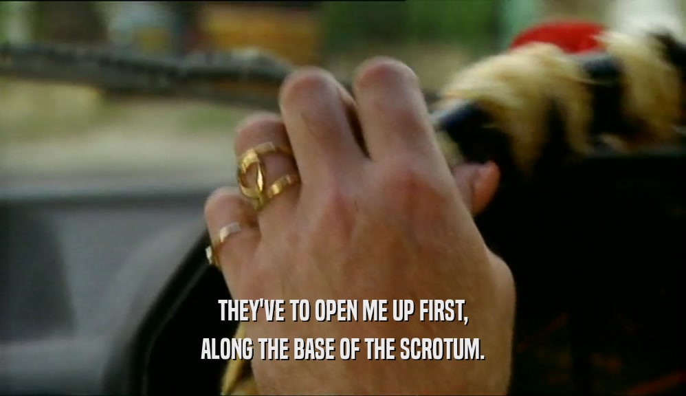 THEY'VE TO OPEN ME UP FIRST, ALONG THE BASE OF THE SCROTUM. 