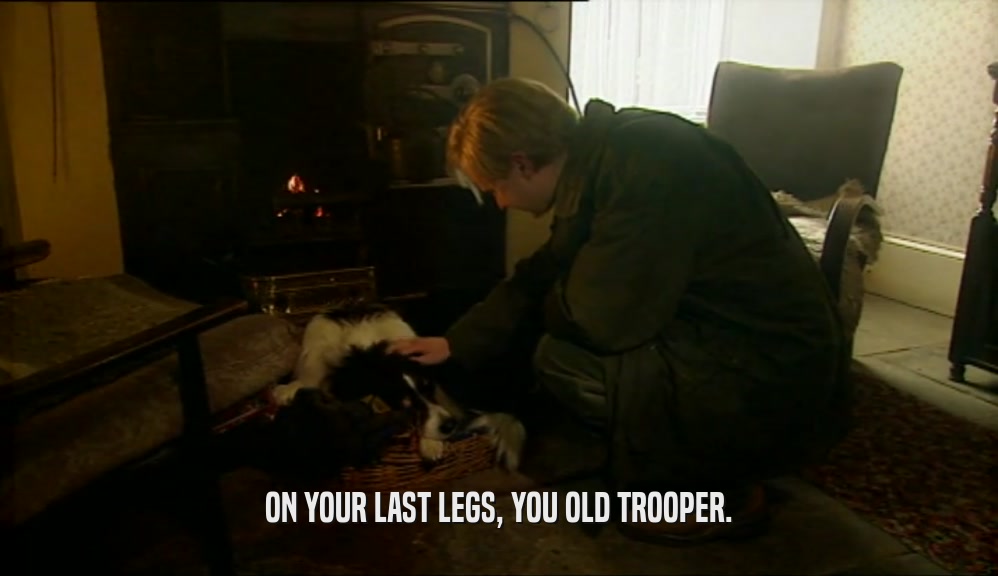 ON YOUR LAST LEGS, YOU OLD TROOPER.  
