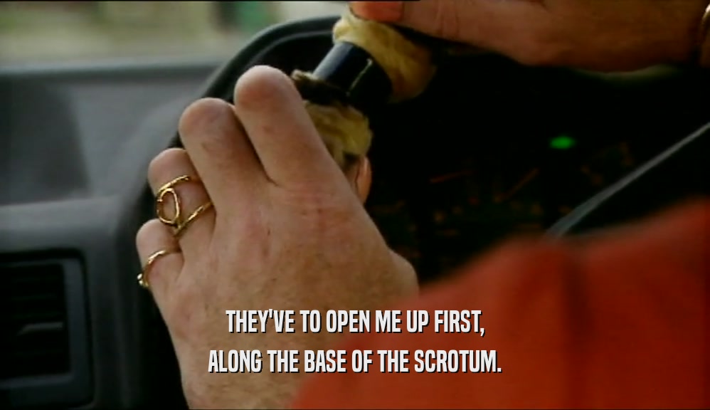 THEY'VE TO OPEN ME UP FIRST, ALONG THE BASE OF THE SCROTUM. 