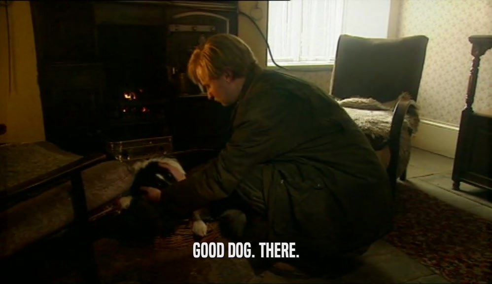 GOOD DOG. THERE.  