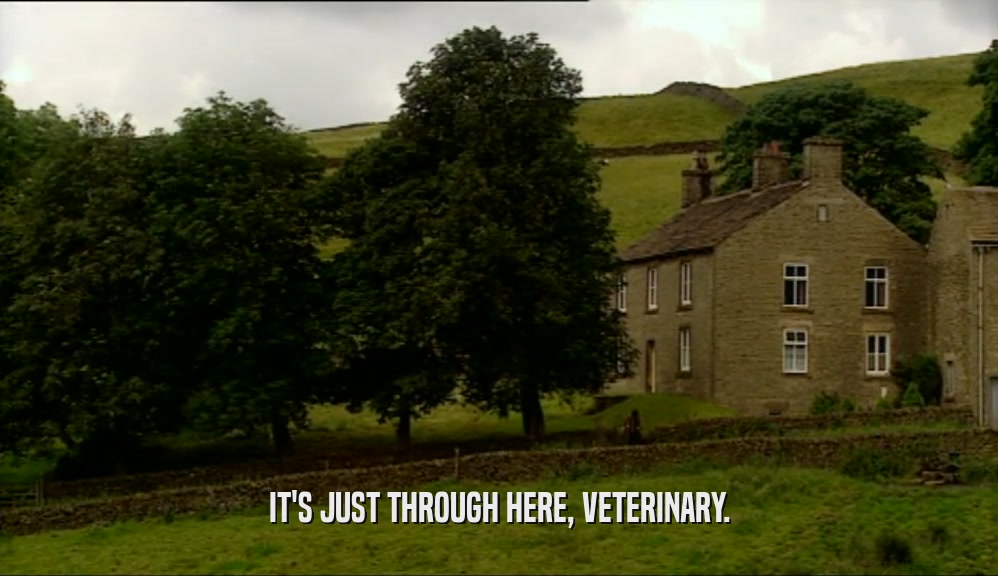 IT'S JUST THROUGH HERE, VETERINARY.  
