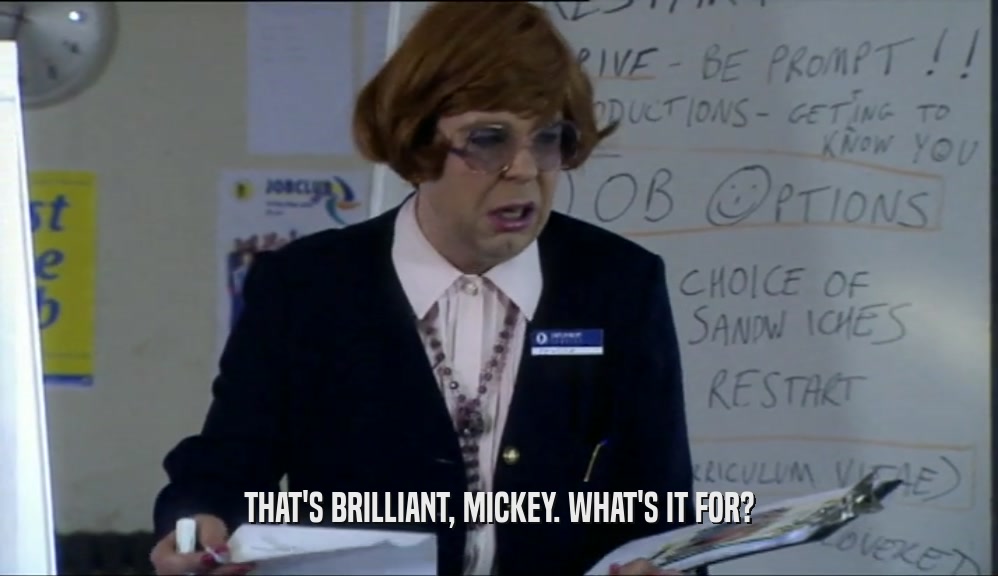 THAT'S BRILLIANT, MICKEY. WHAT'S IT FOR?  
