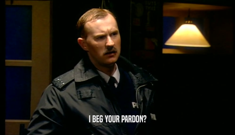 I BEG YOUR PARDON?  