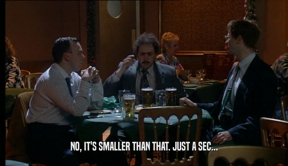 NO, IT'S SMALLER THAN THAT. JUST A SEC...  