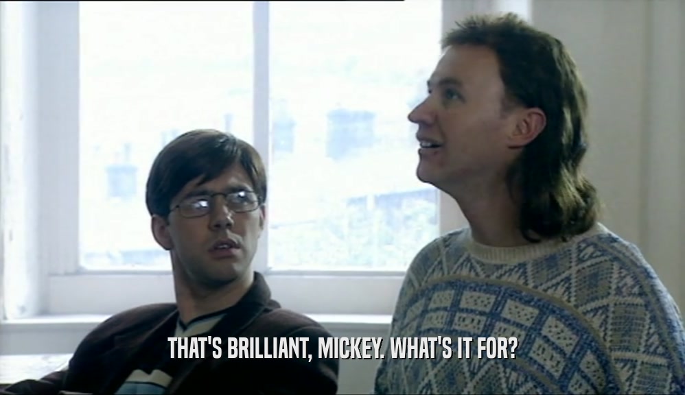 THAT'S BRILLIANT, MICKEY. WHAT'S IT FOR?  