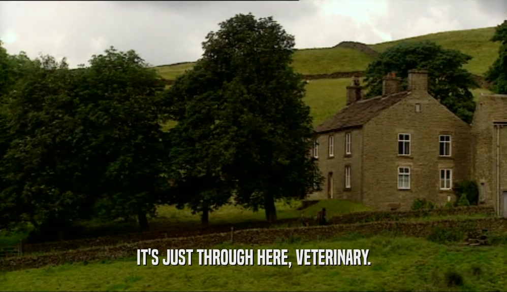 IT'S JUST THROUGH HERE, VETERINARY.  