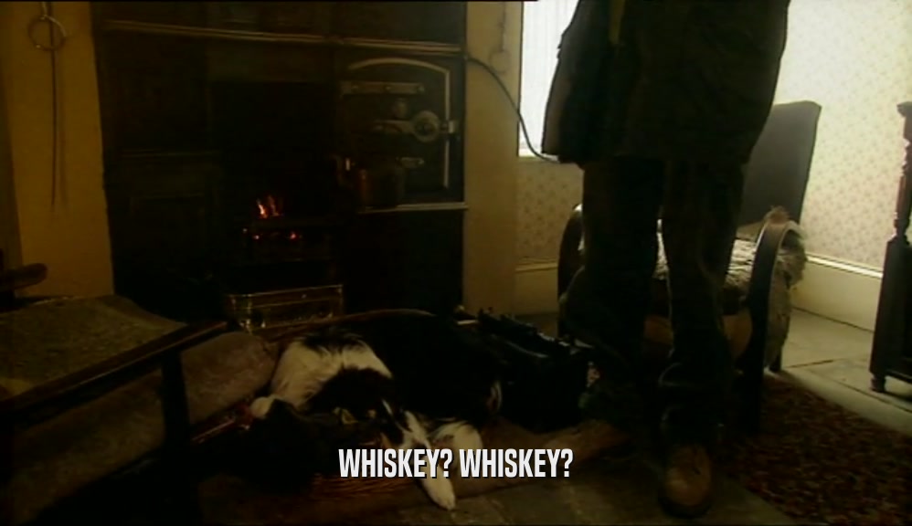 WHISKEY? WHISKEY?  