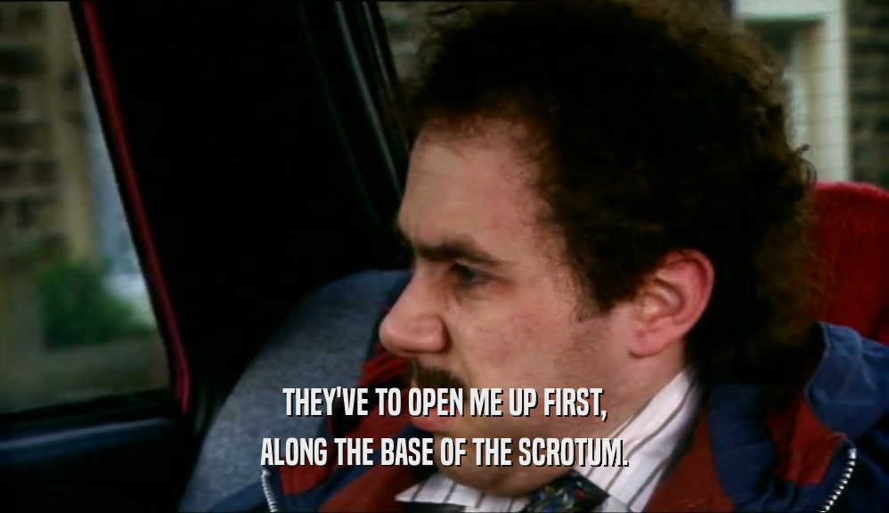 THEY'VE TO OPEN ME UP FIRST, ALONG THE BASE OF THE SCROTUM. 