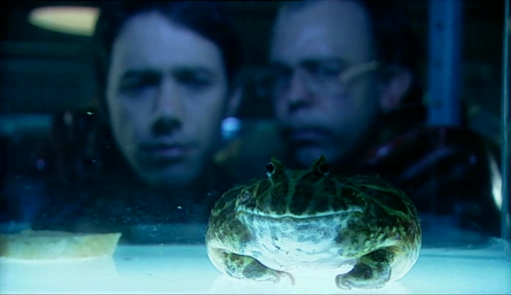 THE HORN TOAD REQUIRES ONLY THREE DROPLETS ON A SLICE OF MOIST BREAD. 