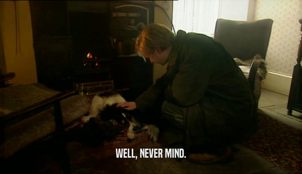 WELL, NEVER MIND.  