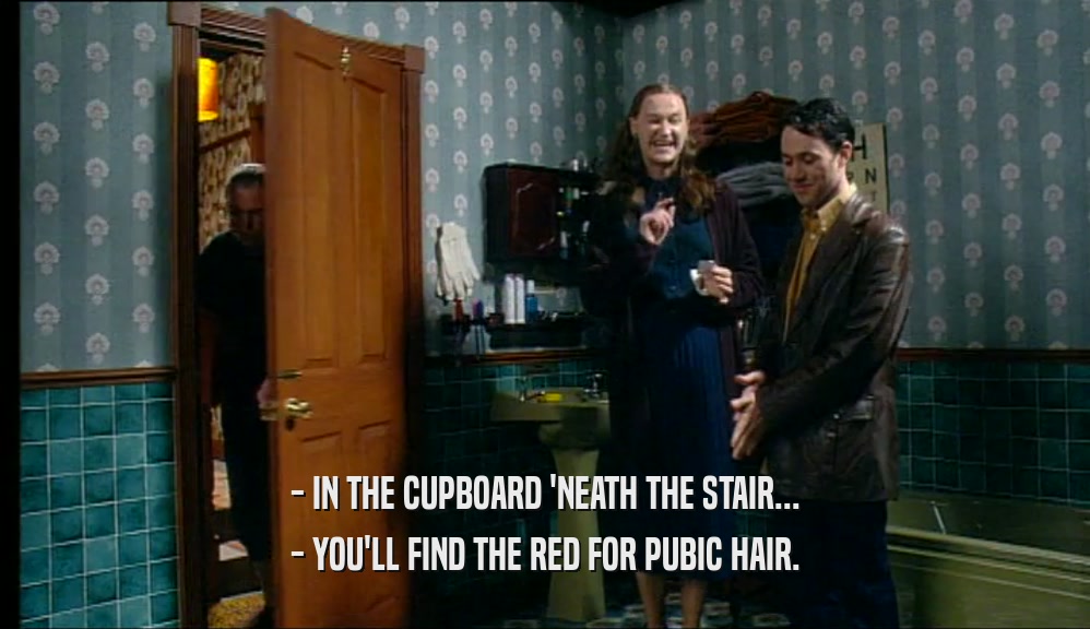 - IN THE CUPBOARD 'NEATH THE STAIR... - YOU'LL FIND THE RED FOR PUBIC HAIR. 