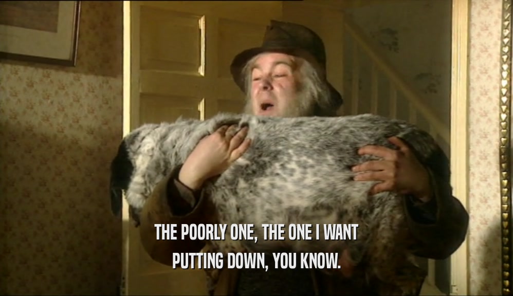 THE POORLY ONE, THE ONE I WANT PUTTING DOWN, YOU KNOW. 