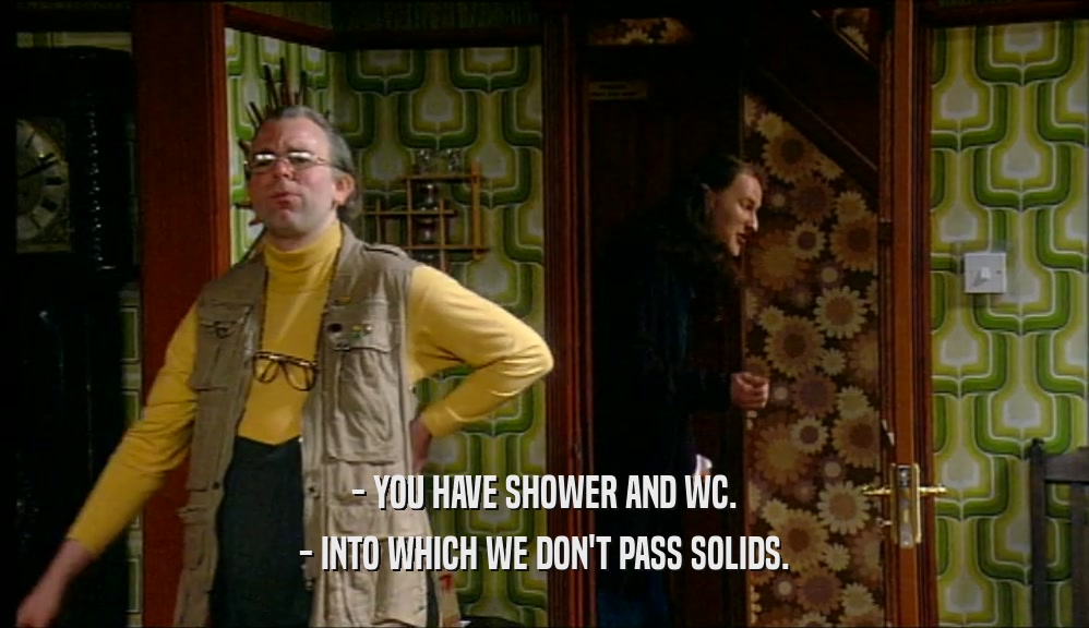 - YOU HAVE SHOWER AND WC. - INTO WHICH WE DON'T PASS SOLIDS. 
