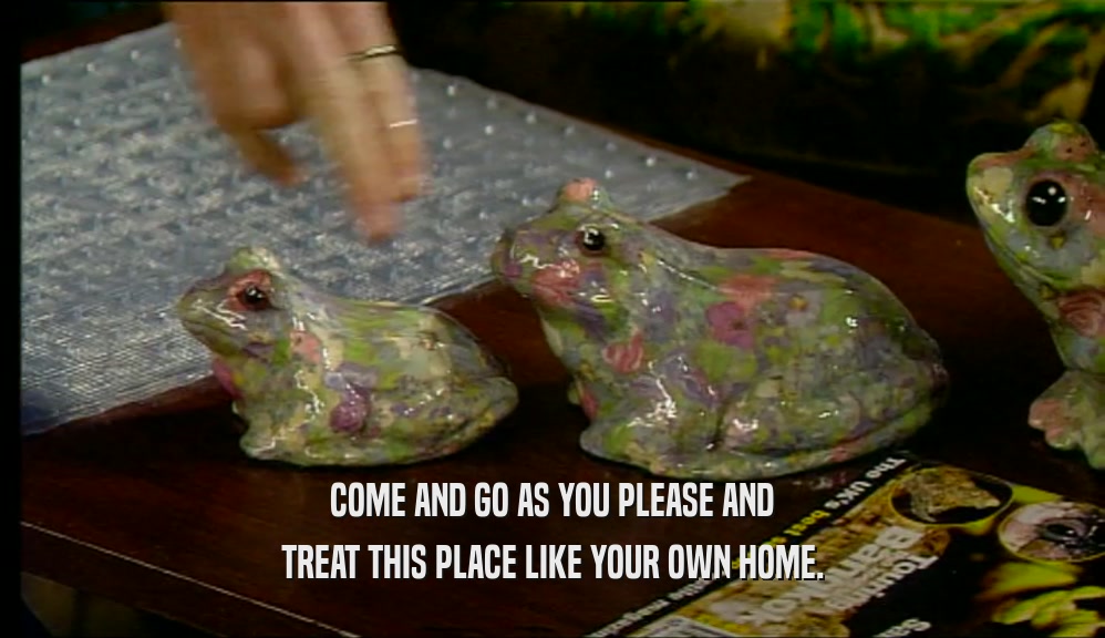 COME AND GO AS YOU PLEASE AND TREAT THIS PLACE LIKE YOUR OWN HOME. 