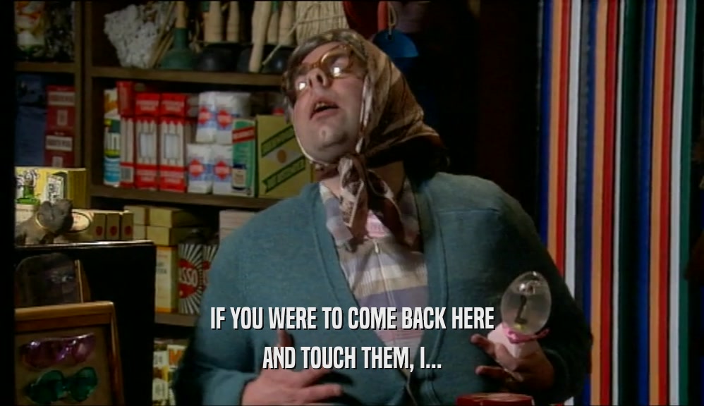IF YOU WERE TO COME BACK HERE AND TOUCH THEM, I... 