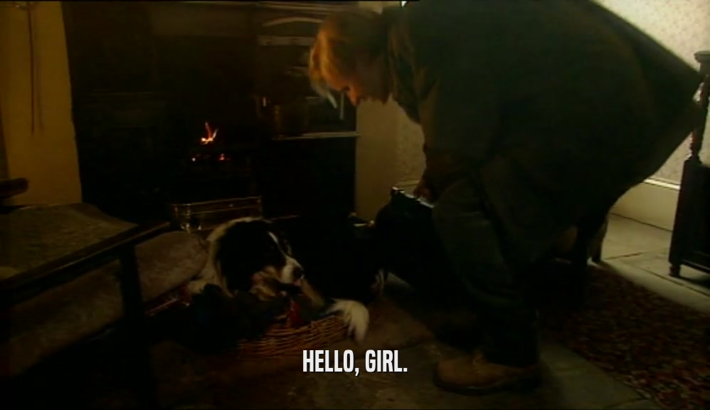 HELLO, GIRL.  