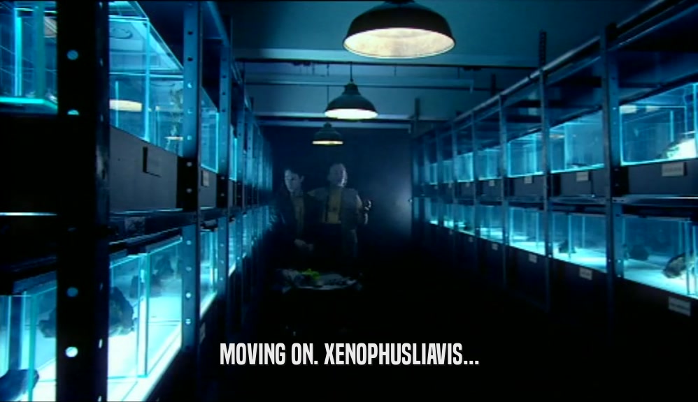 MOVING ON. XENOPHUSLIAVIS...  