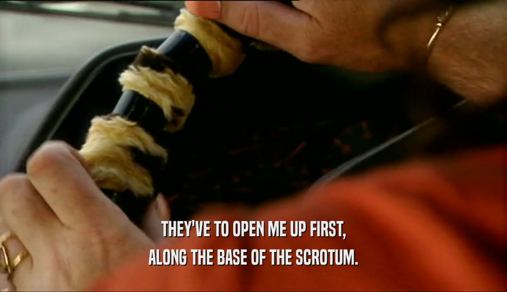THEY'VE TO OPEN ME UP FIRST, ALONG THE BASE OF THE SCROTUM. 