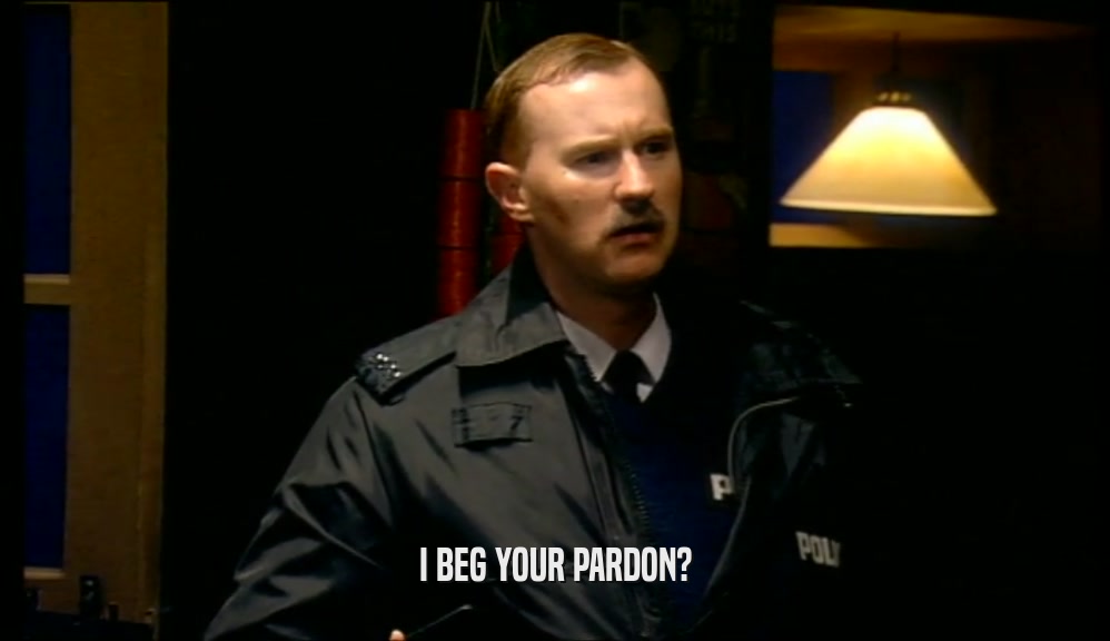 I BEG YOUR PARDON?  
