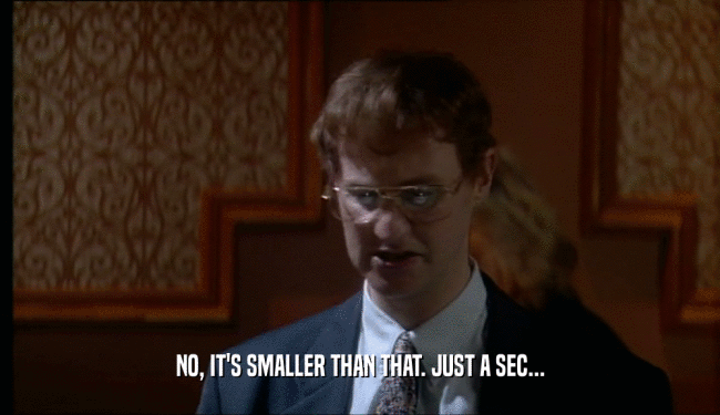 NO, IT'S SMALLER THAN THAT. JUST A SEC...  