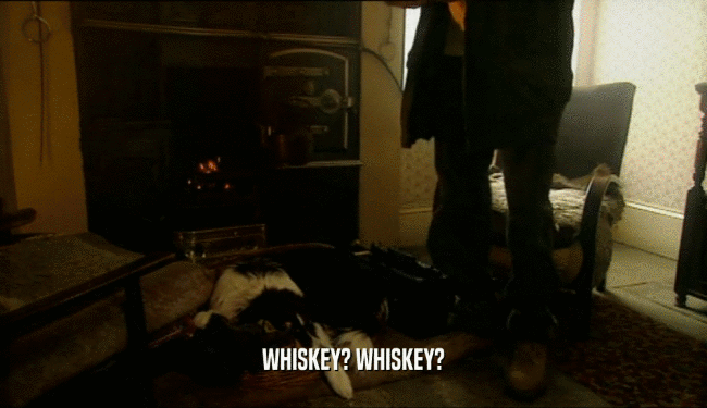 WHISKEY? WHISKEY?  