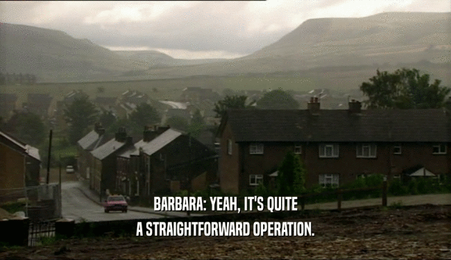 BARBARA: YEAH, IT'S QUITE
 A STRAIGHTFORWARD OPERATION.
 