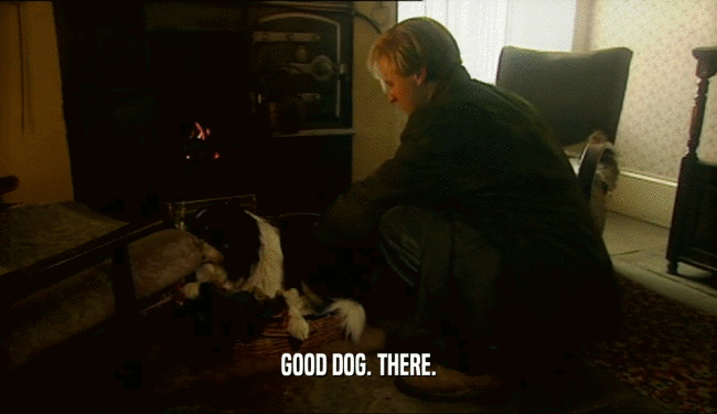 GOOD DOG. THERE.  