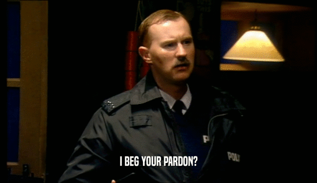 I BEG YOUR PARDON?  
