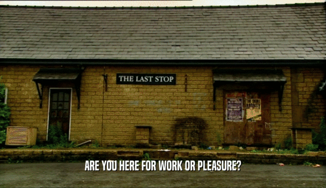 ARE YOU HERE FOR WORK OR PLEASURE?  
