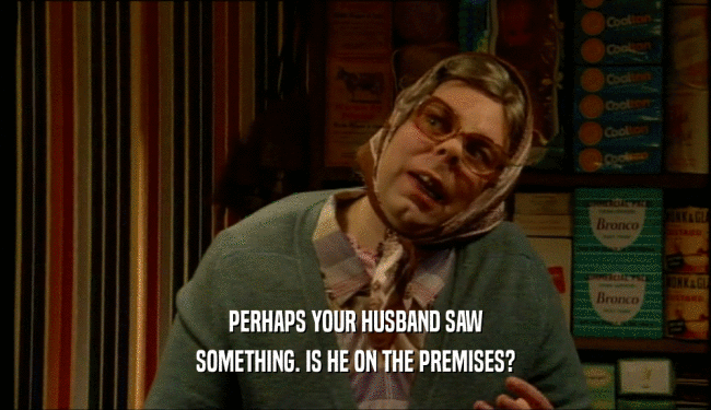 PERHAPS YOUR HUSBAND SAW SOMETHING. IS HE ON THE PREMISES? 