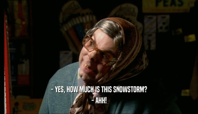 - YES, HOW MUCH IS THIS SNOWSTORM? - AHH! 