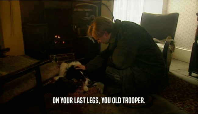 ON YOUR LAST LEGS, YOU OLD TROOPER.  