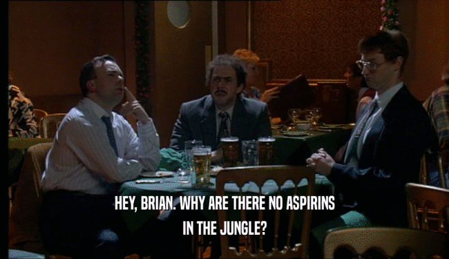 HEY, BRIAN. WHY ARE THERE NO ASPIRINS
 IN THE JUNGLE?
 