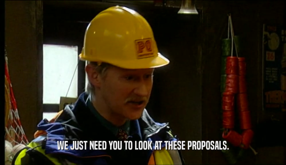 WE JUST NEED YOU TO LOOK AT THESE PROPOSALS.  