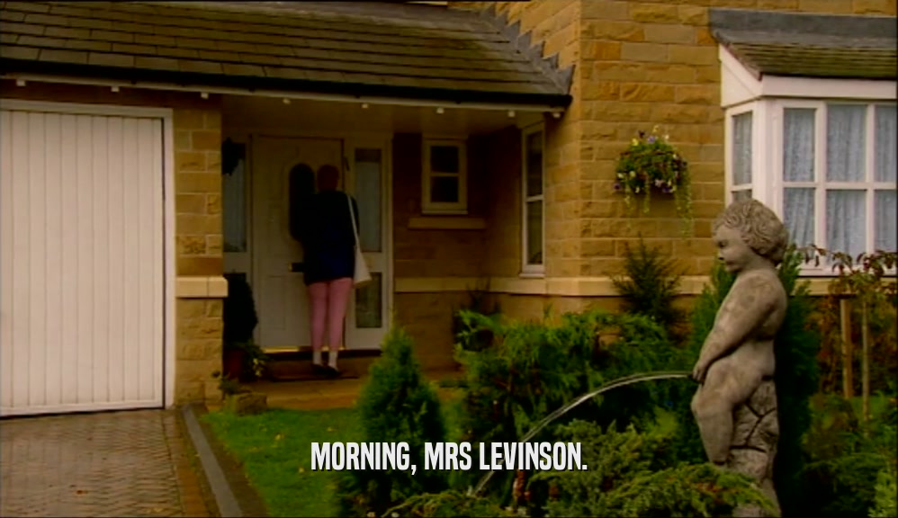 MORNING, MRS LEVINSON.
  