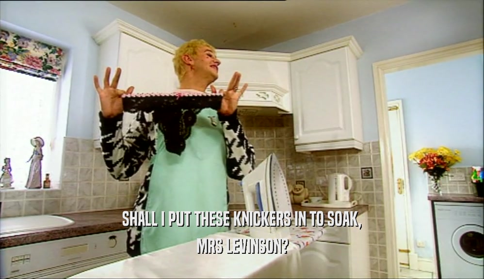 SHALL I PUT THESE KNICKERS IN TO SOAK, MRS LEVINSON? 