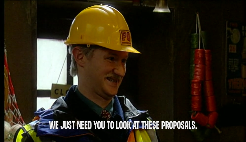 WE JUST NEED YOU TO LOOK AT THESE PROPOSALS.  