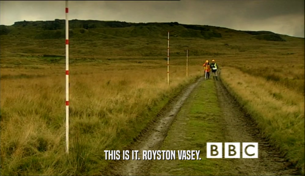 THIS IS IT. ROYSTON VASEY.  