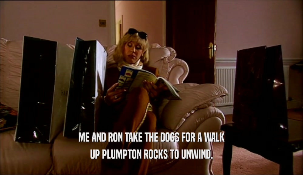 ME AND RON TAKE THE DOGS FOR A WALK UP PLUMPTON ROCKS TO UNWIND. 