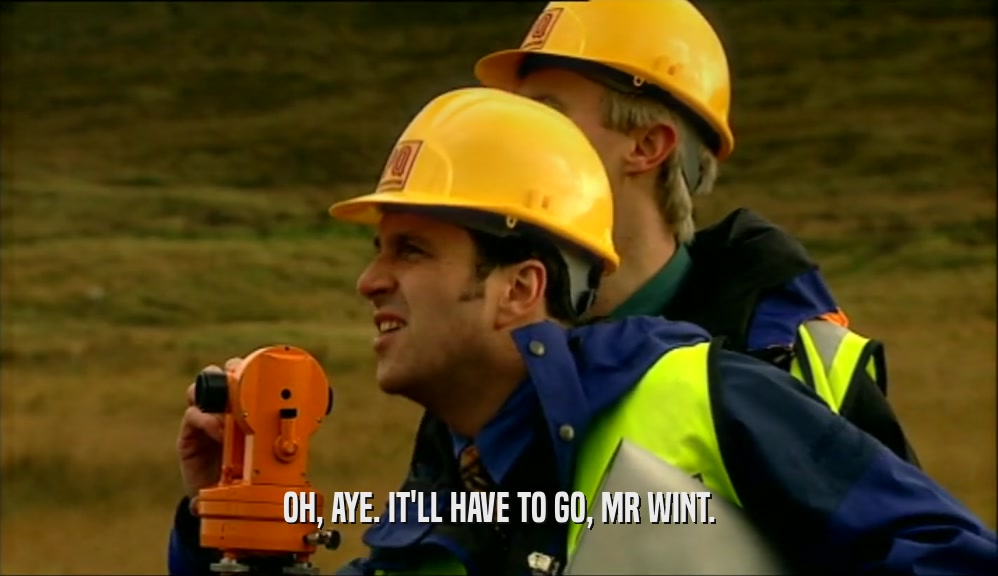 OH, AYE. IT'LL HAVE TO GO, MR WINT.  