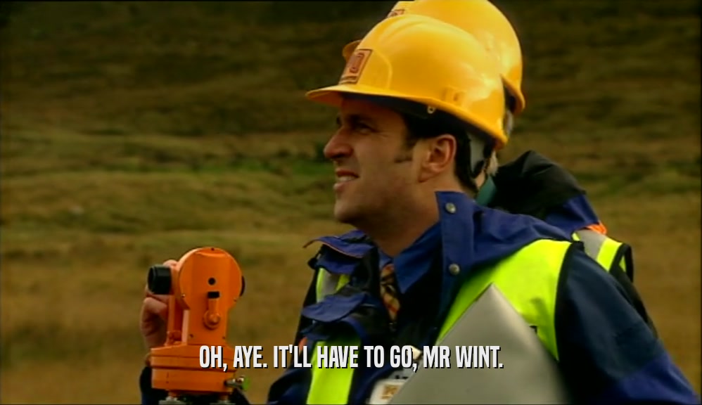 OH, AYE. IT'LL HAVE TO GO, MR WINT.  