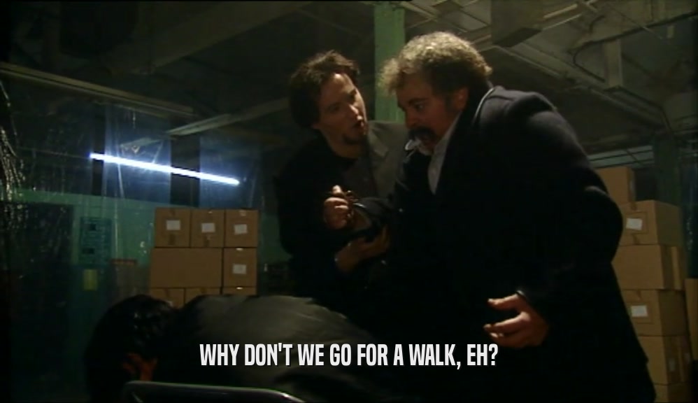 WHY DON'T WE GO FOR A WALK, EH?  