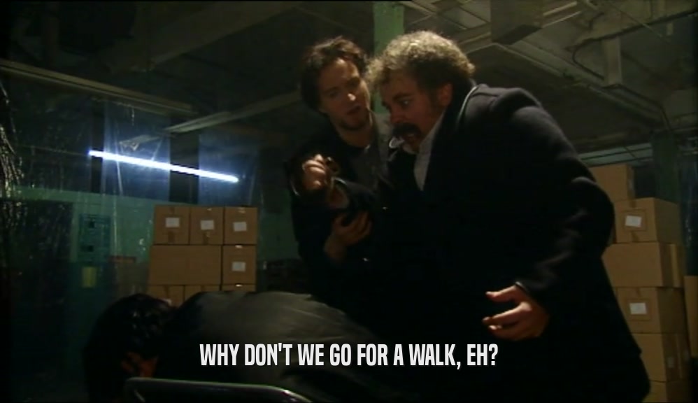 WHY DON'T WE GO FOR A WALK, EH?  