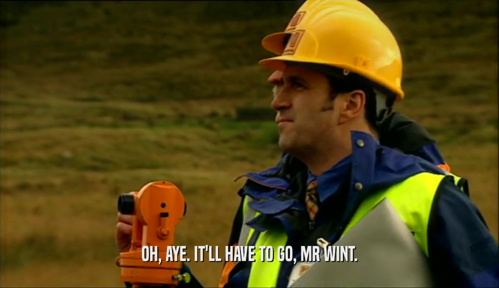 OH, AYE. IT'LL HAVE TO GO, MR WINT.  