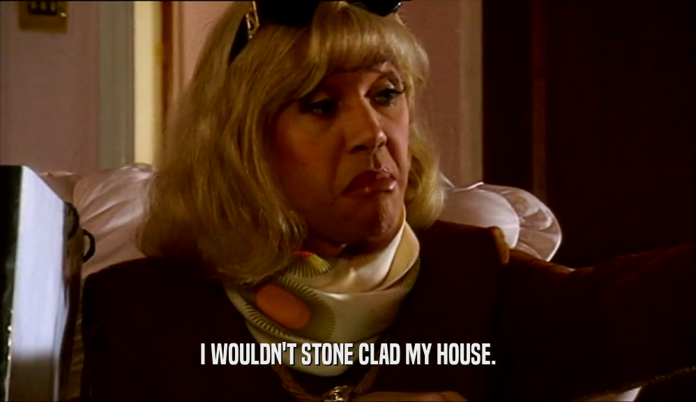 I WOULDN'T STONE CLAD MY HOUSE.
  